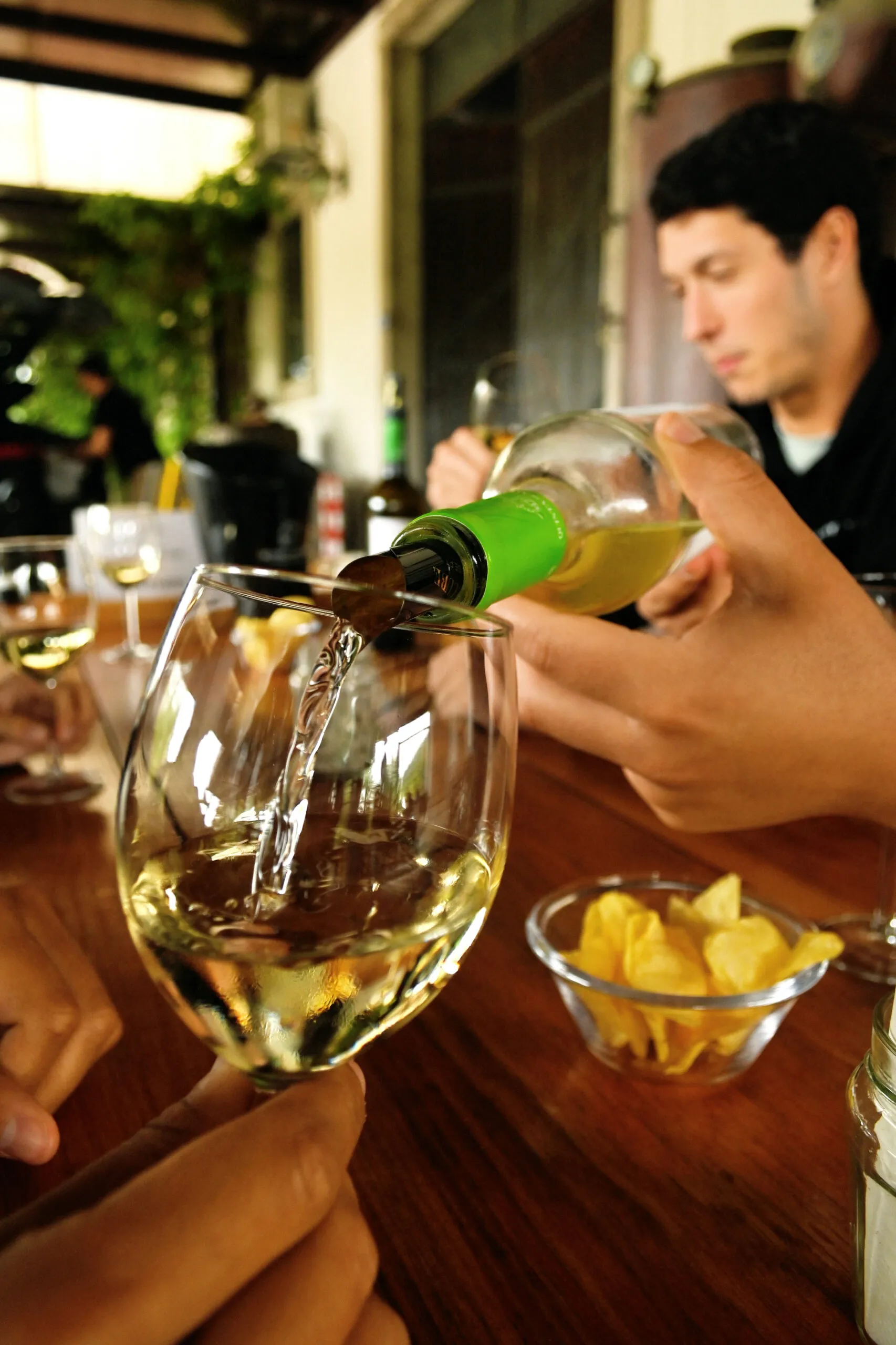 FULL DAY PRIVATE TOUR - WINE TASTING + SESIMBRA & ARRÁBIDA NATIONAL PARK - Image 7