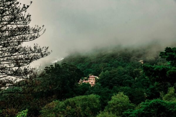 FULL DAY TOUR - SURFING + SINTRA & CASCAIS - Image 5
