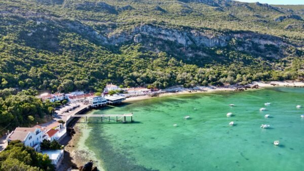 FULL DAY TOUR - WINE TASTING + SESIMBRA & ARRÁBIDA NACIONAL PARK - Image 2