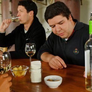 FULL DAY TOUR - WINE TASTING + SESIMBRA & ARRÁBIDA NACIONAL PARK