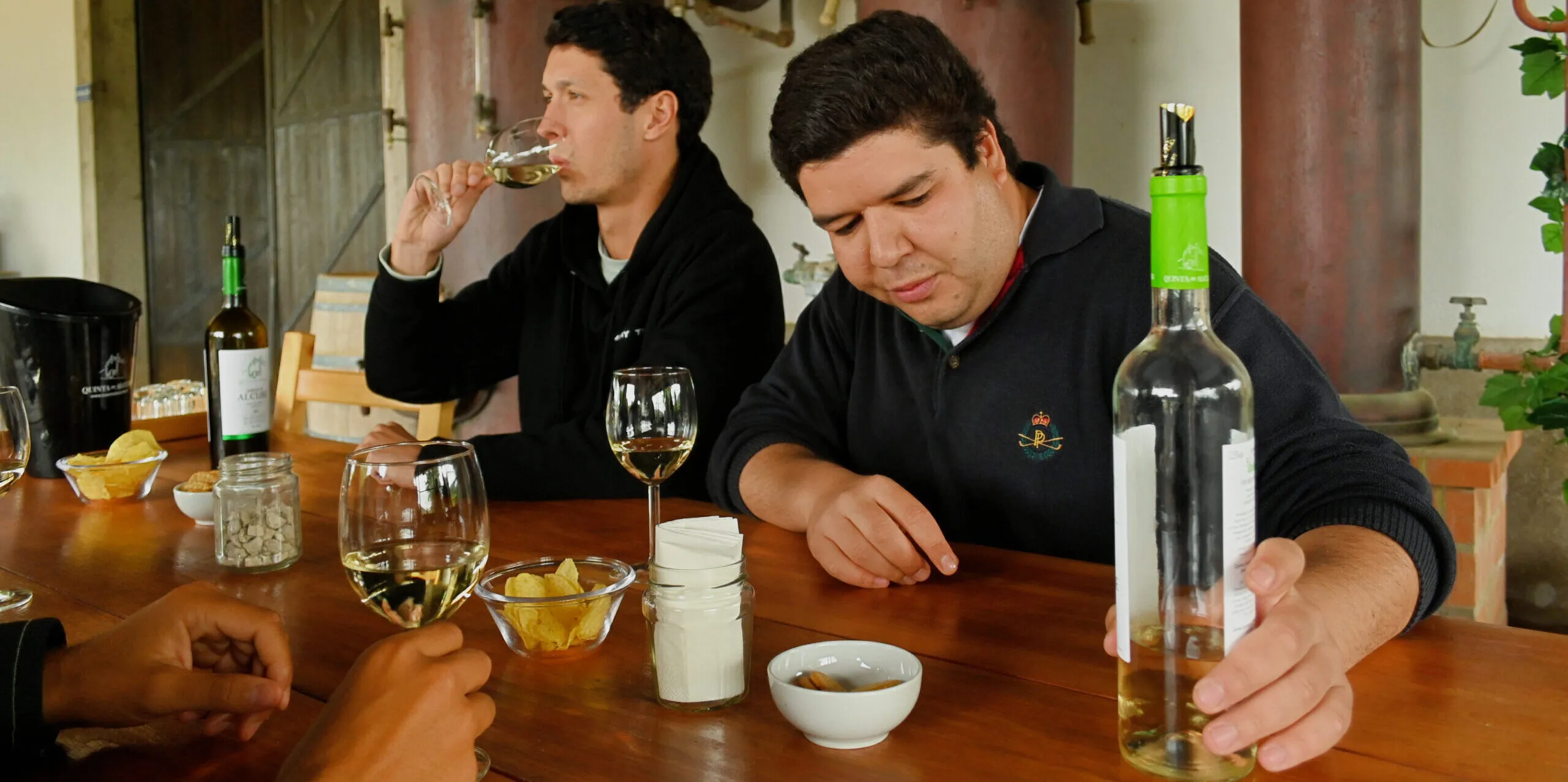 FULL DAY TOUR - WINE TASTING + SESIMBRA & ARRÁBIDA NATIONAL PARK