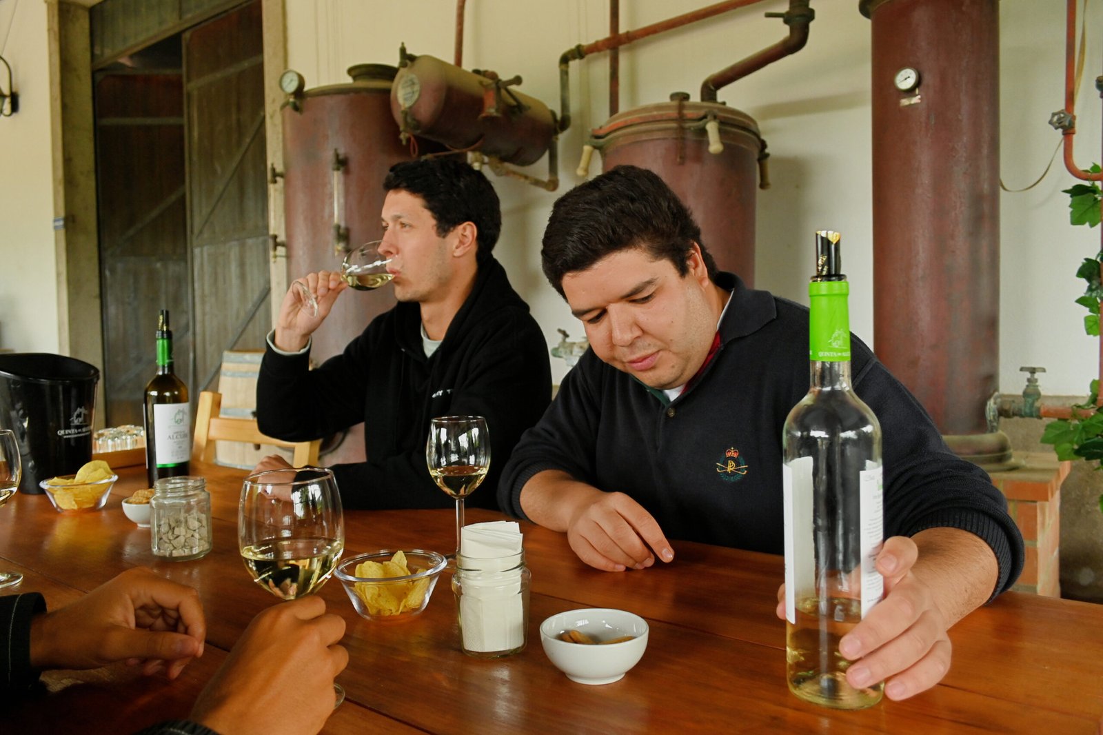 FULL DAY TOUR - WINE TASTING + SESIMBRA & ARRÁBIDA NACIONAL PARK