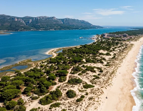 Troia Peninsula from Lisbon: Ferry, Beaches & Dolphins